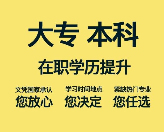 武汉成考高起专考试科目